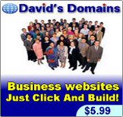 Davids Domains Plastercraft website Hosting $5.99
