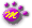 maxxamillion's paw
