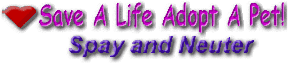 Save A Life Adopt A Pet Spay And Neuter