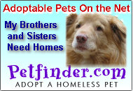 Save a life adopt a homeless pet!